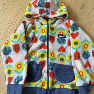 Patagonia Multicolor Synchilla Fleece